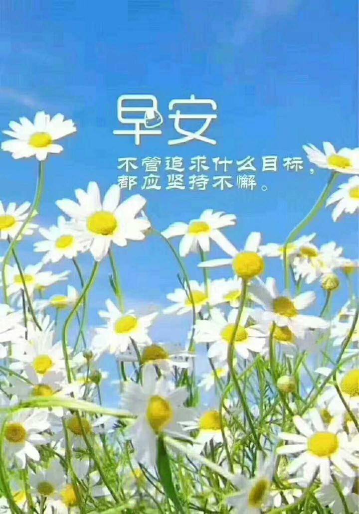 腾博会app_手机版下载
网-腾博会app新闻门户 传播品质资讯
